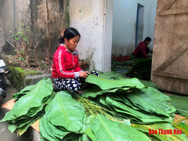 Các cơ sở làm bánh chưng “đắt khách” dịp Tết