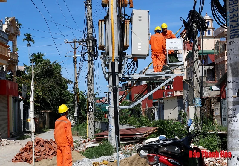 Năm 2019, toàn tỉnh phát hiện, xử lý 113 vụ trộm cắp điện