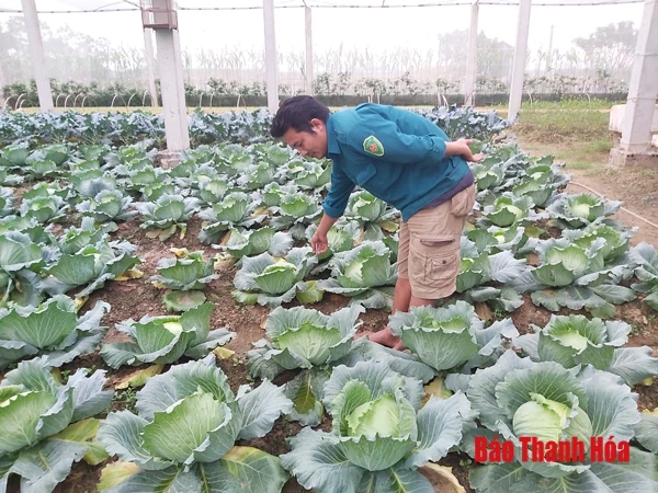 Những thanh niên “lấy nông nghiệp làm giàu”
