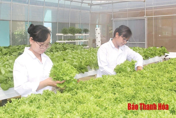 Thắp sáng khát vọng khởi nghiệp