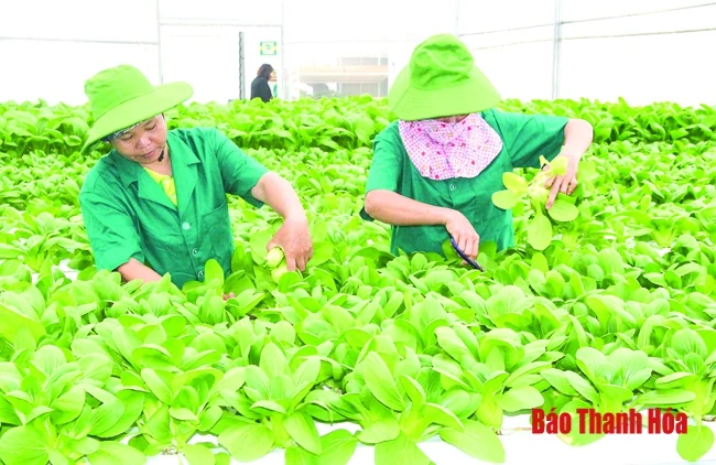 Phát triển nông nghiệp theo hướng toàn diện
