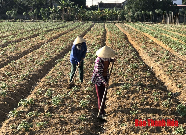 “Dân vận khéo” trong xây dựng nông thôn mới ở xã Nga Trường