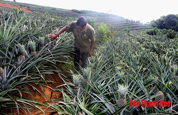 Điểm sáng trong thực hiện các phong trào thi đua