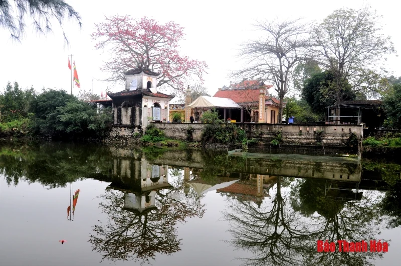 Hoa gạo nở đỏ rực trước sân đền hàng trăm năm tuổi ở Sầm Sơn