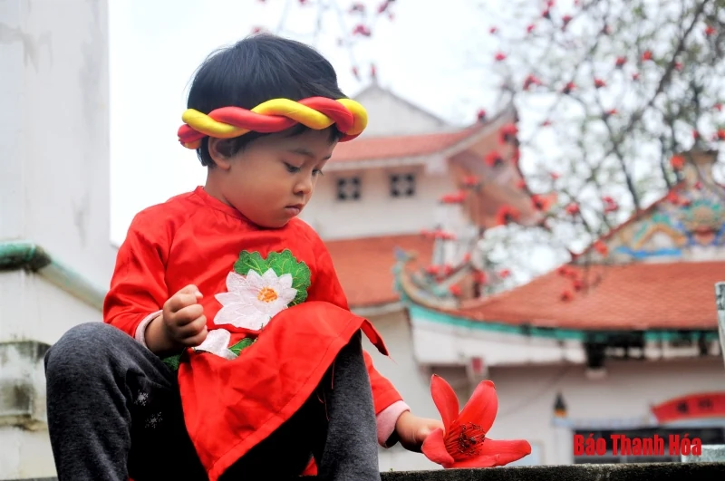 Hoa gạo nở đỏ rực trước sân đền hàng trăm năm tuổi ở Sầm Sơn
