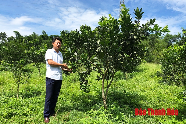 Người bí thư chi bộ gương mẫu