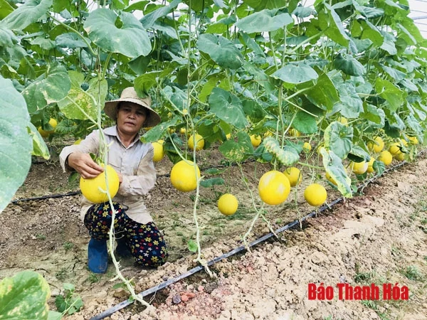 “Quả ngọt” từ Nghị quyết 04