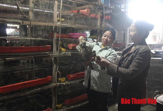 Lan tỏa những tấm gương phụ nữ điển hình