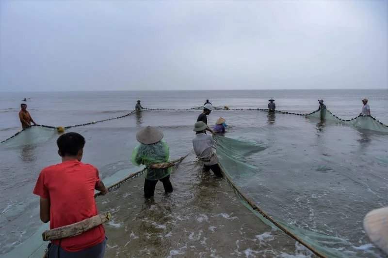 Nghề kéo rùng ở Xứ Thanh