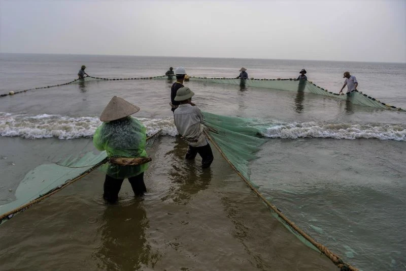 Nghề kéo rùng ở Xứ Thanh