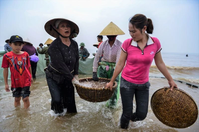 Nghề kéo rùng ở Xứ Thanh