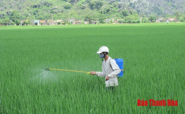 Cần giảm thiểu lạm dụng thuốc bảo vệ thực vật trong sản xuất nông nghiệp