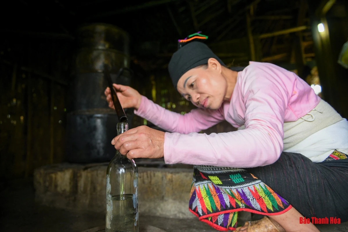 Về Năng Cát xem người Thái siêu rượu men lá dưới chân đỉnh Pù Rinh