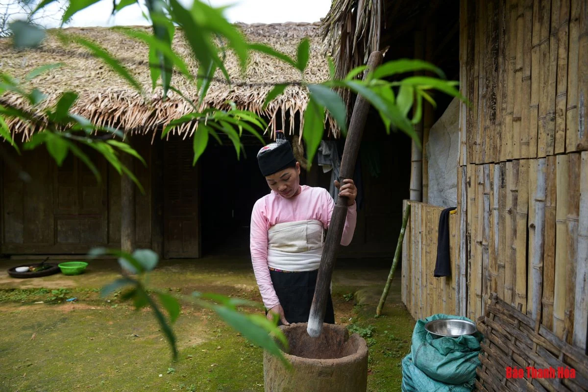 Về Năng Cát xem người Thái siêu rượu men lá dưới chân đỉnh Pù Rinh