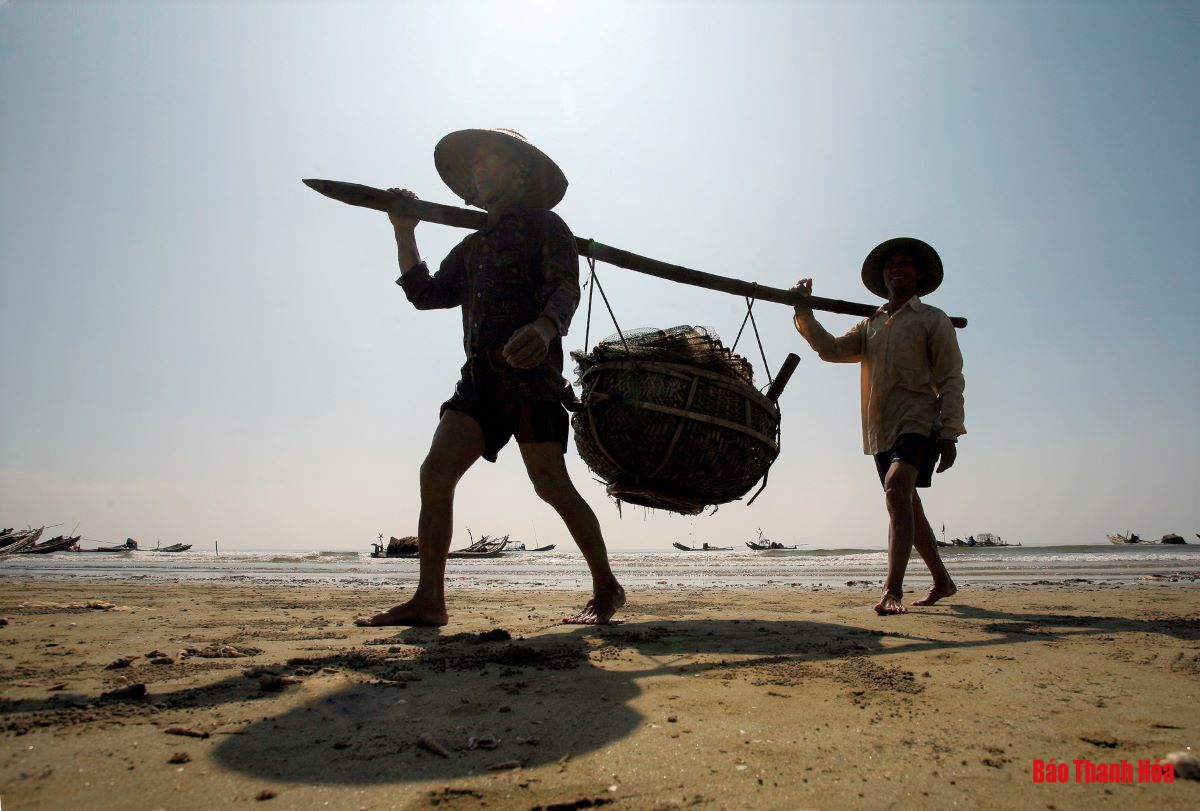 Bè mảng ra khơi