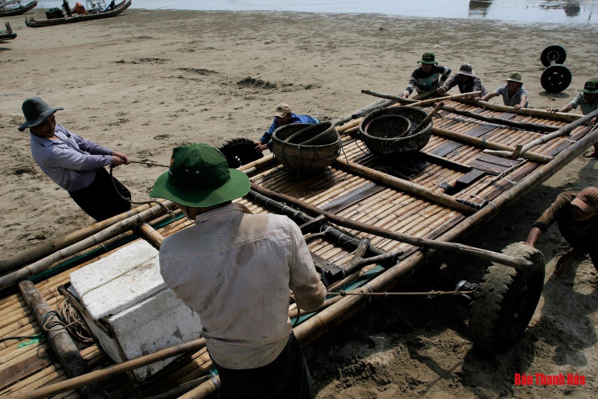 Bè mảng ra khơi