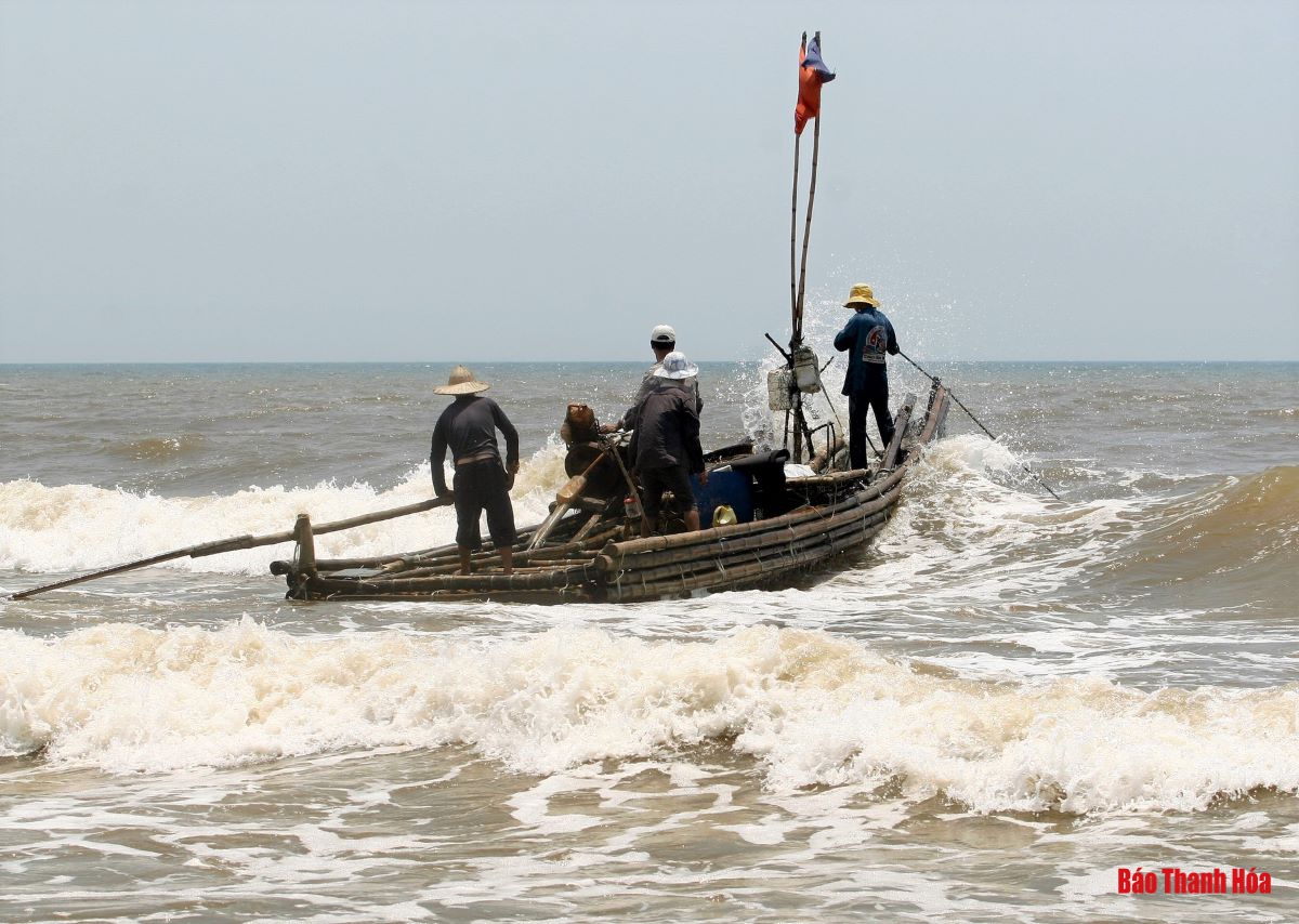 Bè mảng ra khơi