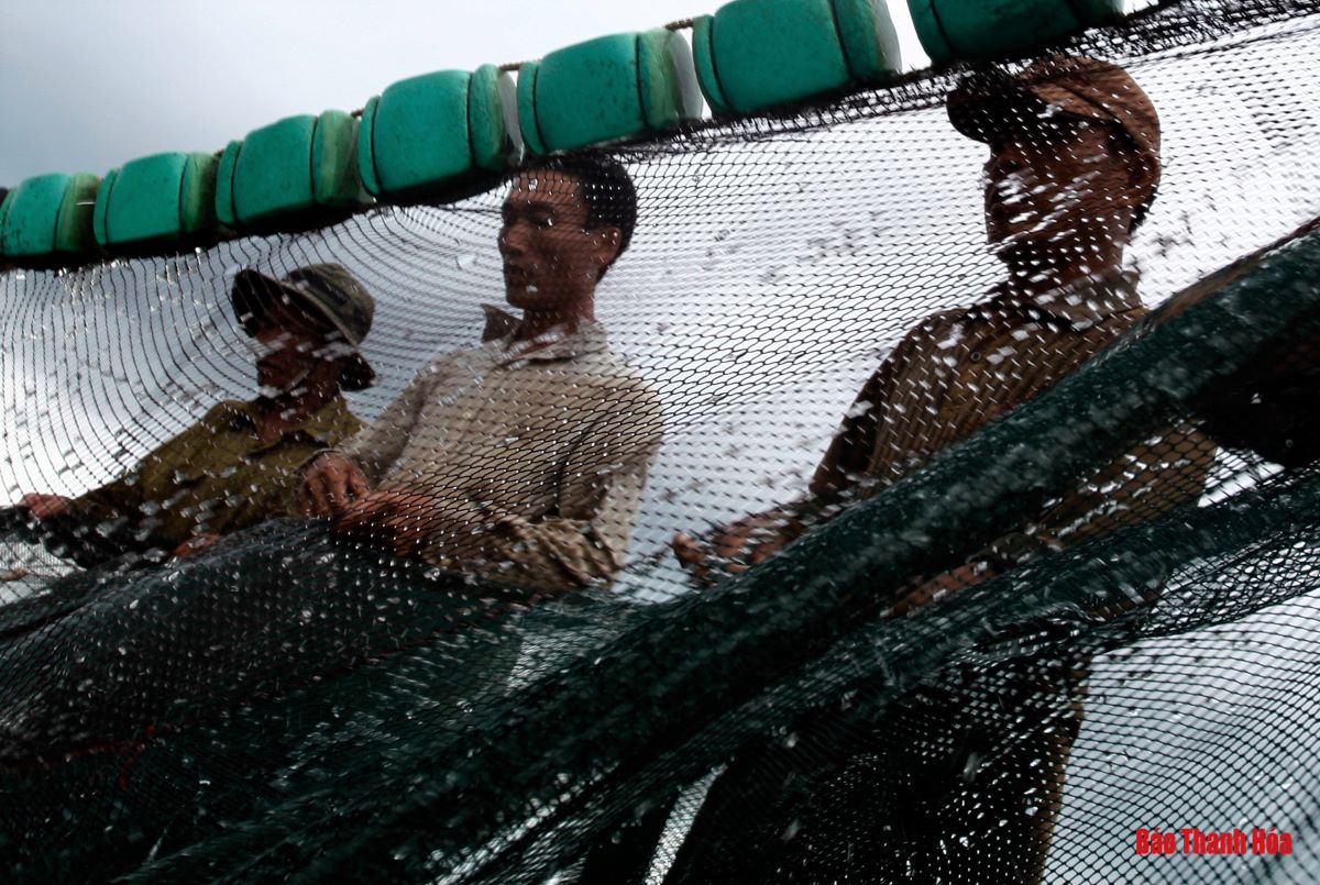 Bè mảng ra khơi