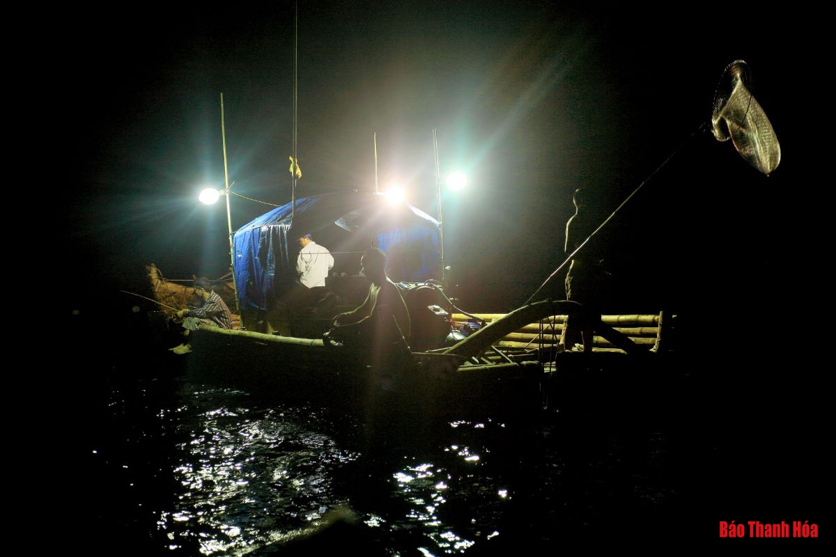 Bè mảng ra khơi