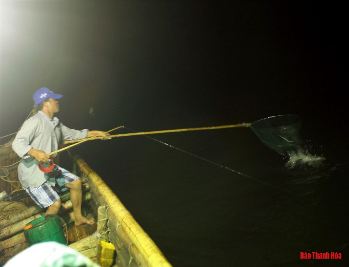 Bè mảng ra khơi