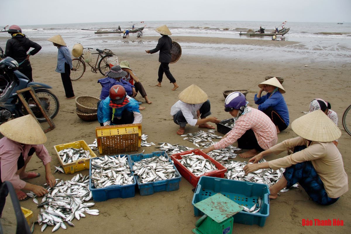 Bè mảng ra khơi