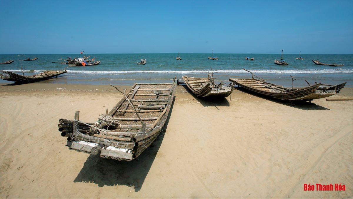 Bè mảng ra khơi