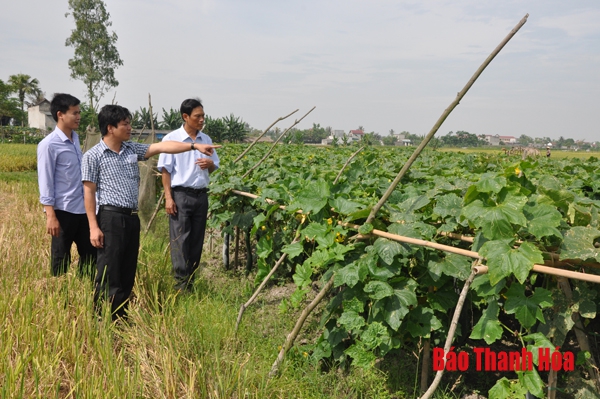 Hiệu quả chương trình cung ứng phân bón trả chậm cho nông dân