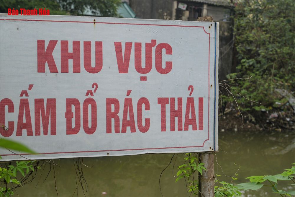 Rác thải, cây leo bủa vây sông Bến Ngự, nguy cơ ách tách dòng chảy