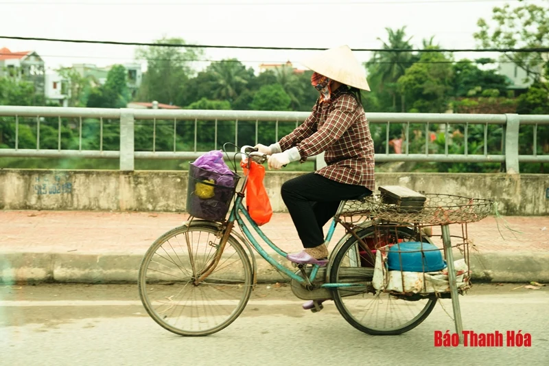 Mưu sinh giữa… mùa dịch