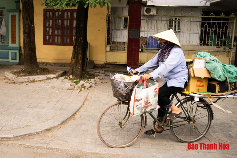 Mưu sinh giữa… mùa dịch