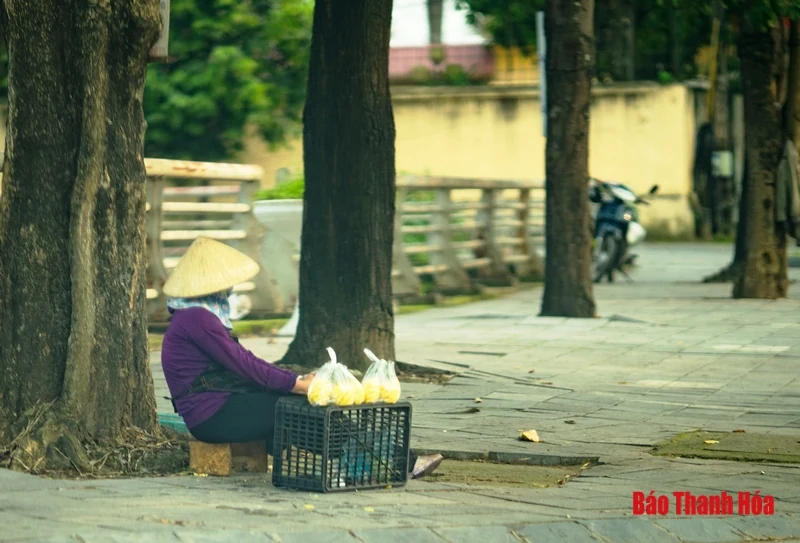 Mưu sinh giữa… mùa dịch