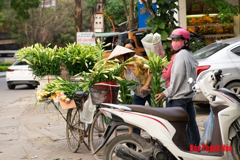 Mưu sinh giữa… mùa dịch