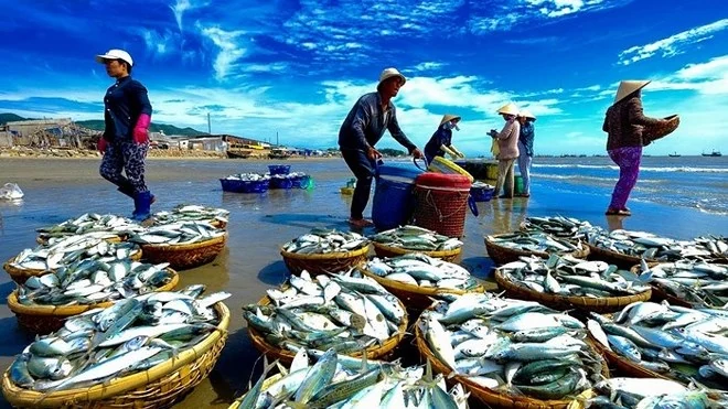 Tăng cường công tác phòng, chống khai thác hải sản IUU