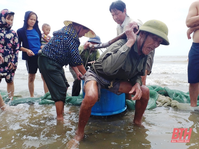 Khám phá chợ hải sản biển Hải Hòa