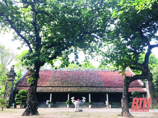 Sớm bảo tồn, tôn tạo Khu Di tích lịch sử Thái miếu nhà Hậu Lê