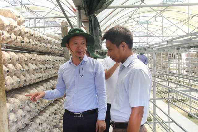 Hiệp hội Doanh nghiệp nông nghiệp an toàn và hữu cơ tỉnh Thanh Hóa tìm hiểu cơ hội đầu tư tại huyện Như Thanh