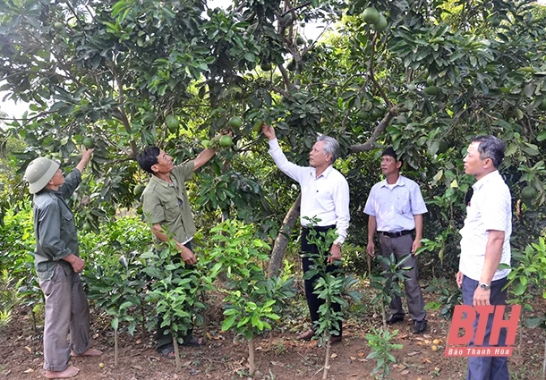 Lộc Sơn hôm nay