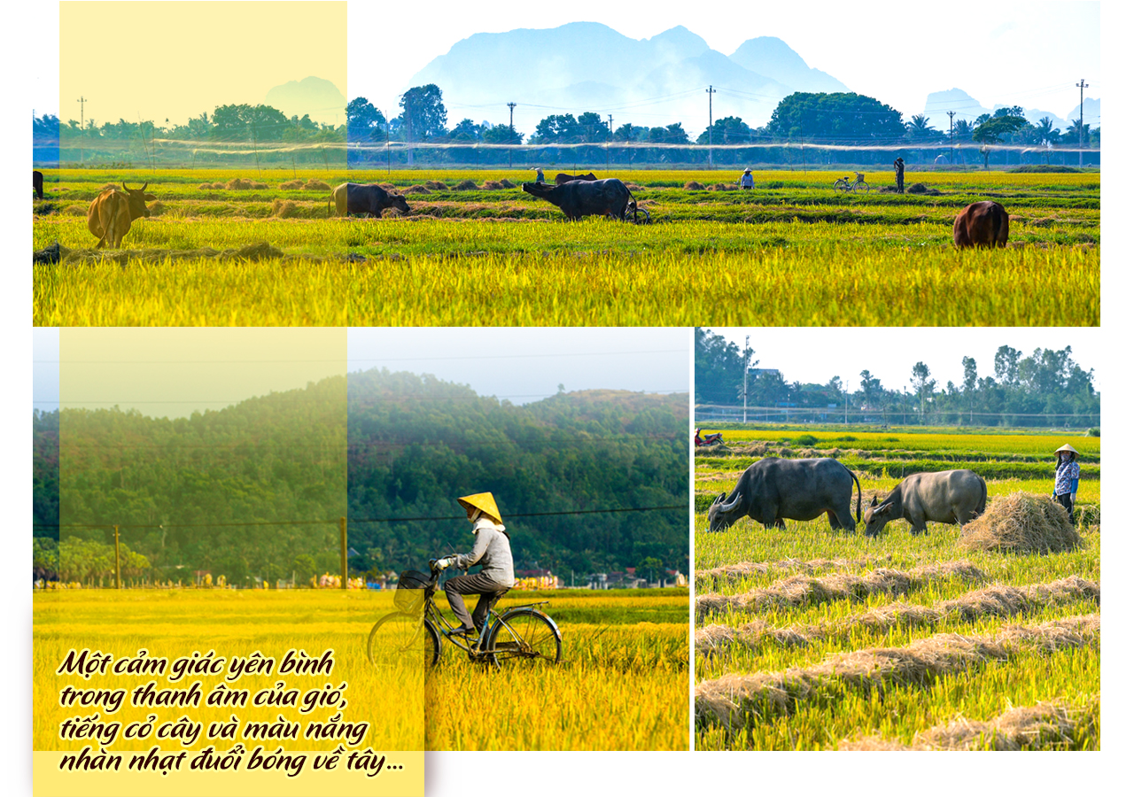 [E-Magazine] - đăng ký m88, còn để lại rơm thơm…