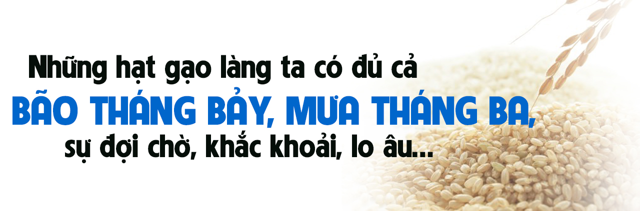 [E-Magazine] - đăng ký m88, còn để lại rơm thơm…