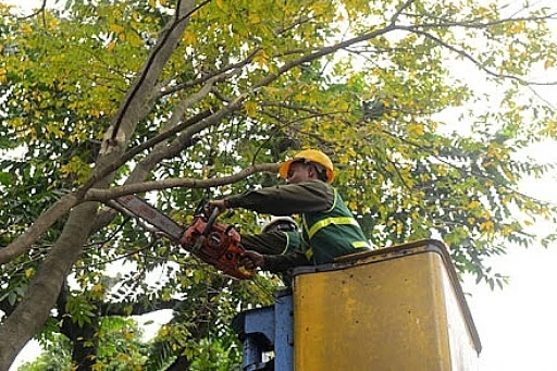 Lên “dây cót” trách nhiệm