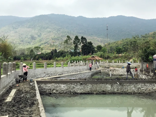 Bất cập trong đào tạo nghề cho lao động nông thôn