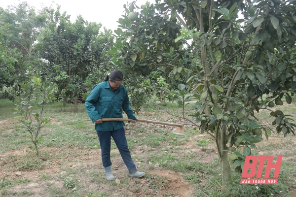 Đảng bộ Agribank Nam Thanh Hóa phát huy vai trò hạt nhân chính trị, lãnh đạo kinh doanh hiệu quả