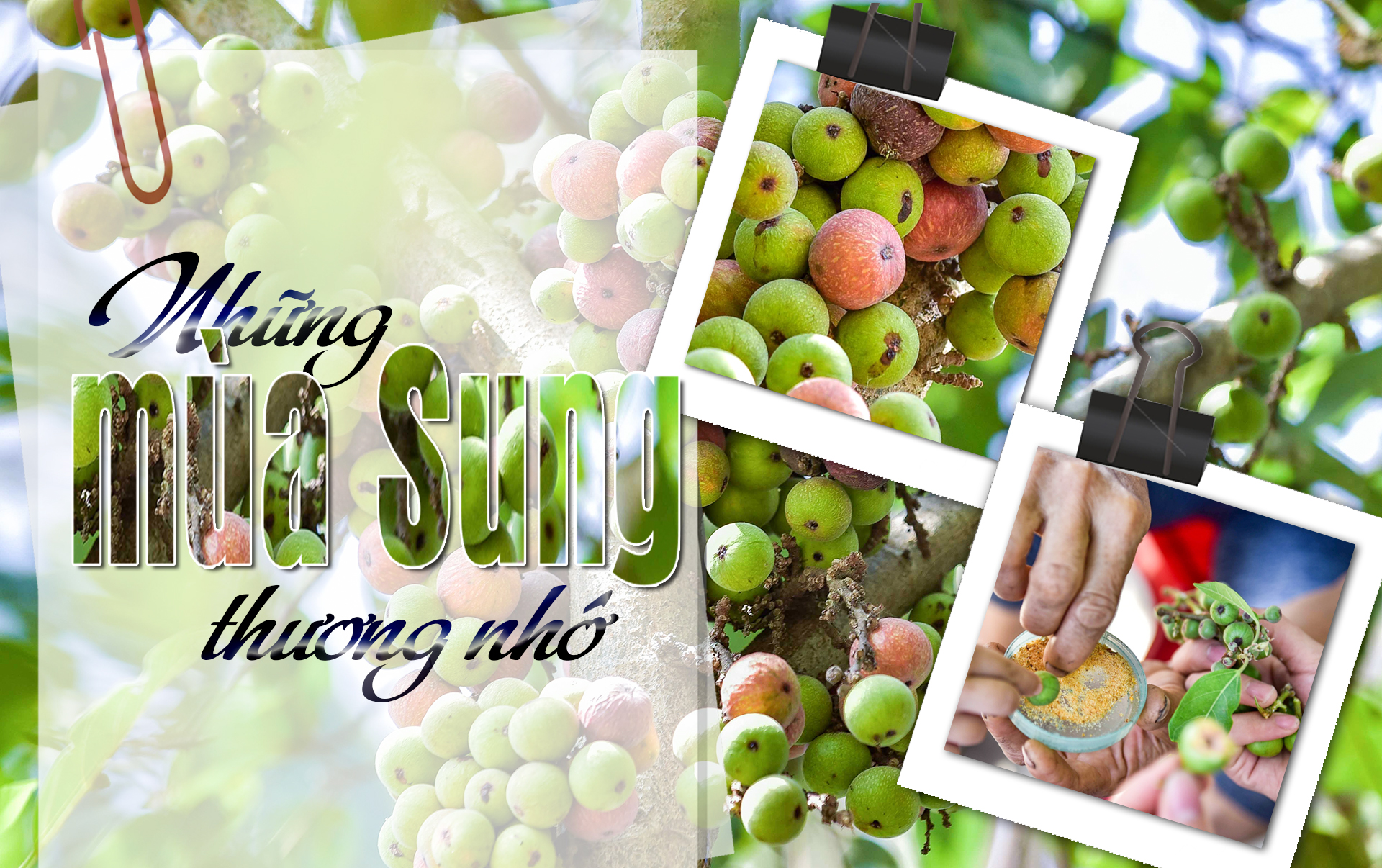 [E-Magazine] - Những m88 the thao nhớ...