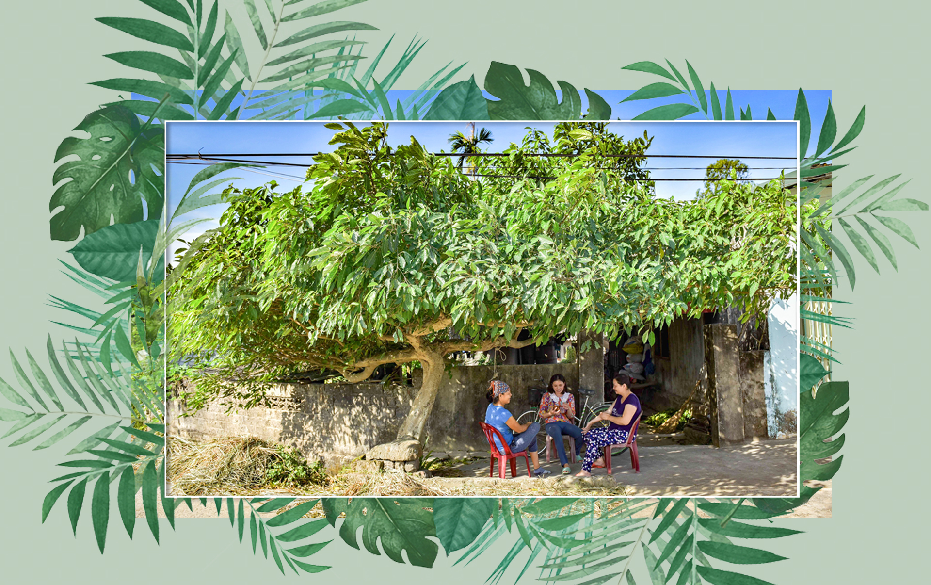 [E-Magazine] - Những m88 the thao nhớ...