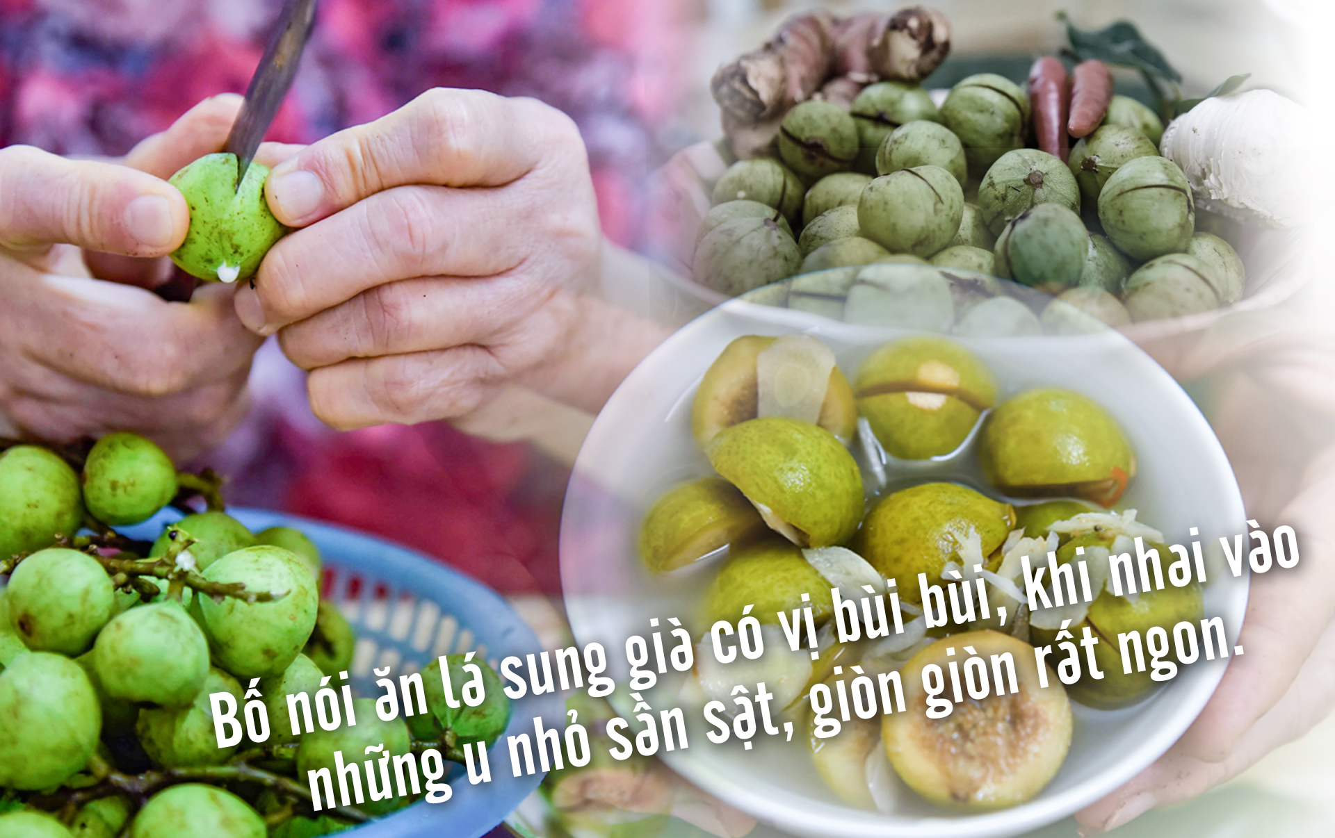 [E-Magazine] - Những m88 the thao nhớ...