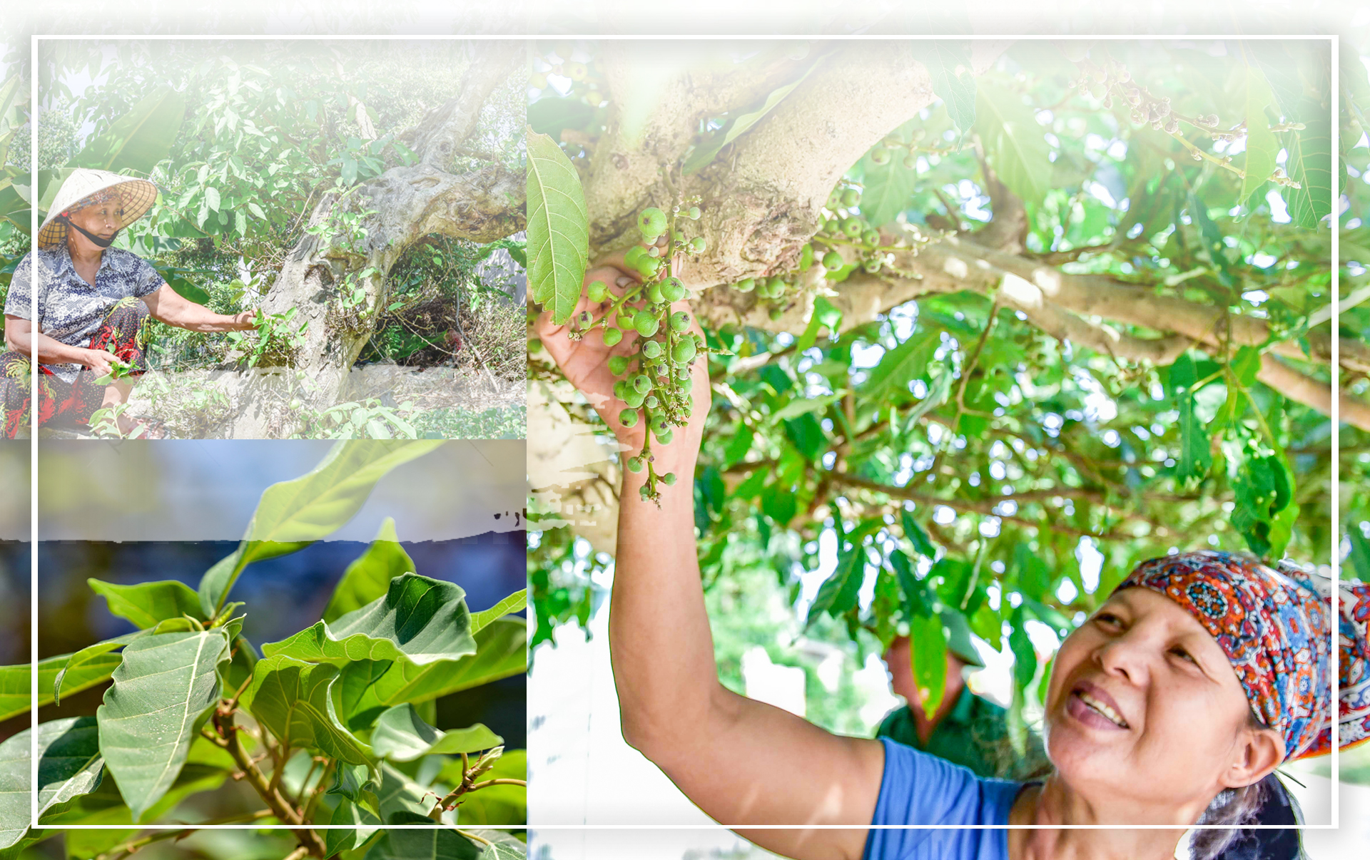 [E-Magazine] - Những m88 the thao nhớ...