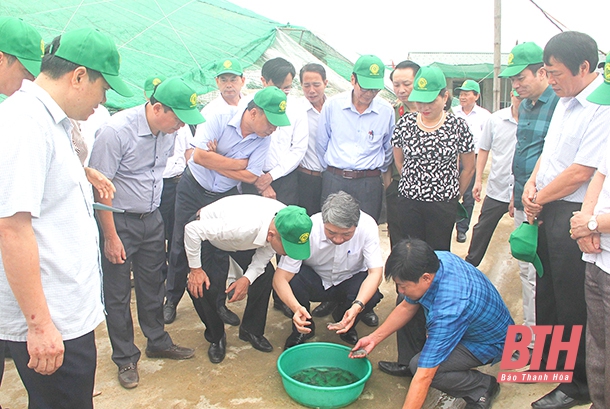 Chủ động tham mưu có hiệu quả Chương trình xây dựng nông thôn mới