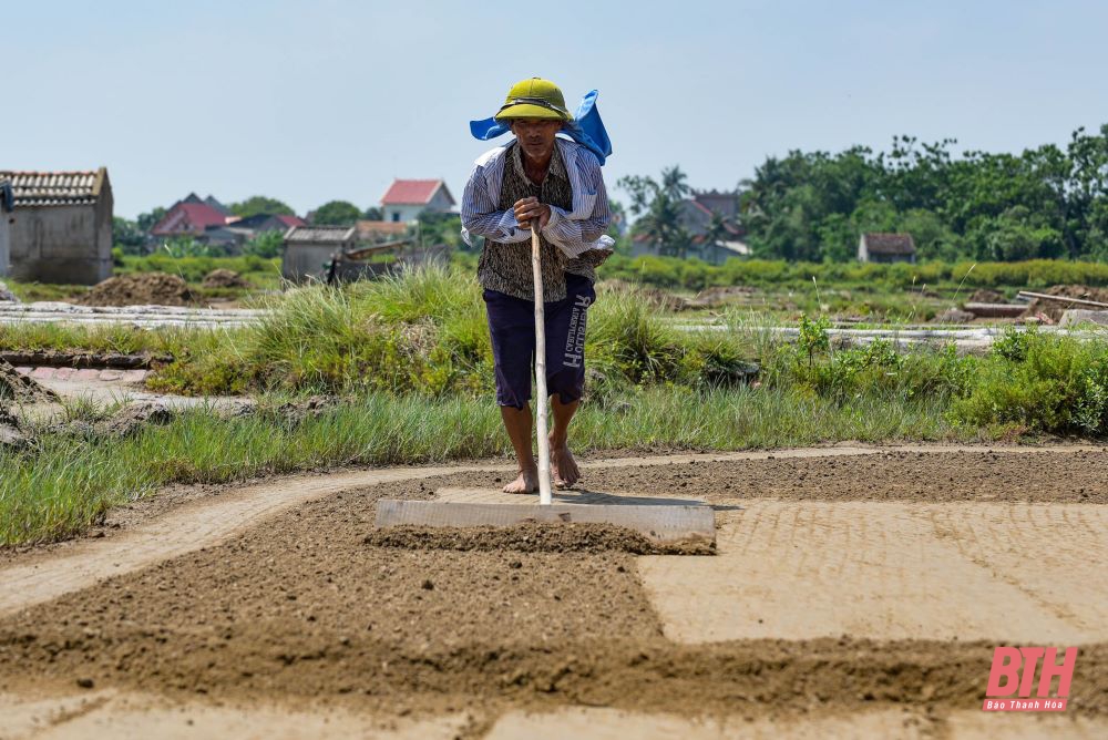 Nông dân vất vả dưới trời nắng nóng