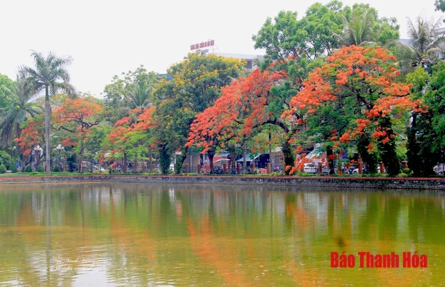 Chủ tịch UBND phường Ba Đình (TP Thanh Hóa) trả lời đơn của ông Nguyễn Xuân Trung