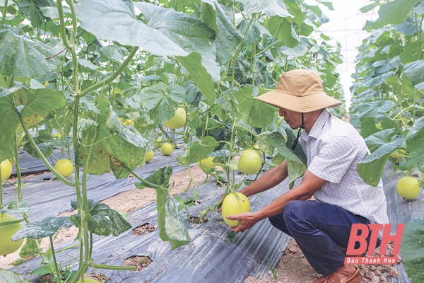 Chủ động ứng dụng khoa học công nghệ vào sản xuất và đời sống